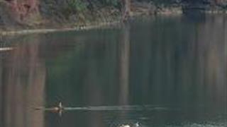 鹰潭龙虎山竹筏漂流怎么玩？附游玩路线