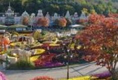 北京玫瑰公园怎么玩？附游玩路线