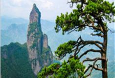 台州神仙居景区怎么玩？附游玩路线