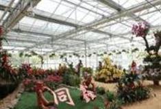 重庆万州同鑫蔬菜大观园怎么玩？附游玩路线