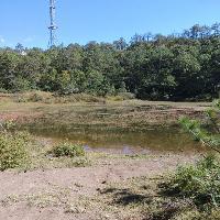 拉市海湿地公园19312