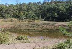 拉市海湿地公园：情人湖