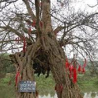 丽江观音峡景区19279
