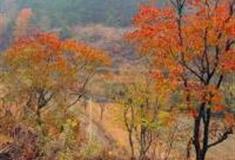 孝感四姑北山怎么玩？附游玩路线