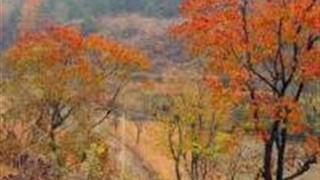 孝感四姑北山怎么玩？附游玩路线