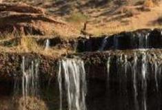 银川长流水生态旅游区怎么玩？附游玩路线