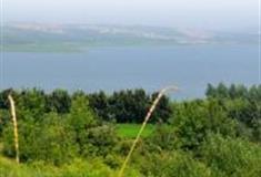 青岛喜鹊山森林公园怎么玩？附游玩路线