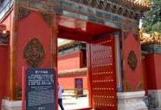 北京慈宁宫花园怎么玩？附游玩路线