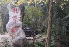 杭州龙井茶文化村怎么玩？附游玩路线