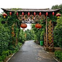 诸葛八卦村18237