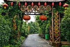 诸葛八卦村：百草生态园