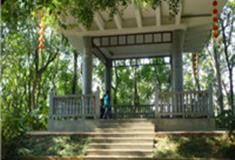 深圳大沙河公园怎么玩？附游玩路线