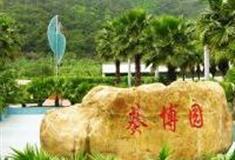 江门葵博园怎么玩？附游玩路线