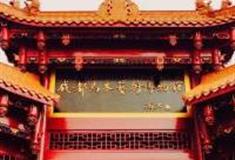 成都乌木艺术博物馆怎么玩？附游玩路线