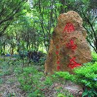 大雁山风景区18448