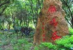 大雁山风景区：雁鸣谷