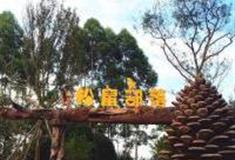 成都松鼠部落森林假日公园怎么玩？附游玩路线