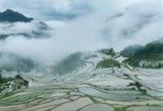 丽水云和梯田怎么玩？附游玩路线