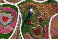 宜昌同心花海怎么玩？附游玩路线