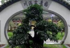 成都川派盆景园怎么玩？附游玩路线