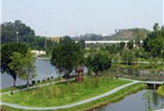 东莞植物园怎么玩？附游玩路线