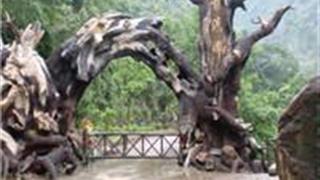 温州龙湾潭国家森林公园怎么玩？附游玩路线