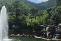 西安鲸鱼沟竹海风景区怎么玩？附游玩路线