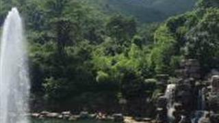 西安鲸鱼沟竹海风景区怎么玩？附游玩路线