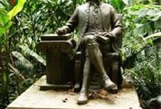 中国科学院华南植物园：卡尔·林奈雕塑