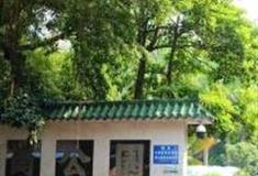 广州大岗公园怎么玩？附游玩路线