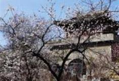 郑州青龙山慈云寺怎么玩？附游玩路线