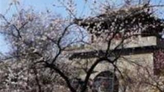 郑州青龙山慈云寺怎么玩？附游玩路线