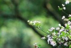 重庆大渡口公园怎么玩？附游玩路线