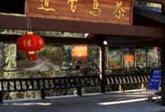 玉溪哀牢山茶马古道景区怎么玩？附游玩路线