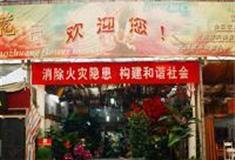 中北镇：花卉北厅