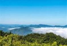 池州九华山闵园景区怎么玩？附游玩路线