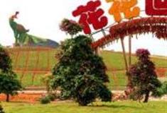 吉安万安花花世界怎么玩？附游玩路线