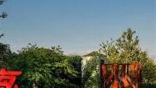 上海花开海上生态园怎么玩？附游玩路线