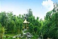 中国科学院华南植物园：龙洞琪林