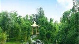 中国科学院华南植物园：龙洞琪林