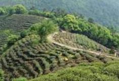 杭州万林背山怎么玩？附游玩路线