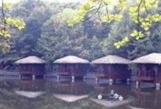 宜春九岭森林温泉度假村怎么玩？附游玩路线