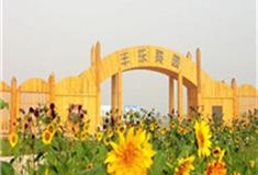 郑州丰乐葵园怎么玩？附游玩路线