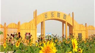 郑州丰乐葵园怎么玩？附游玩路线