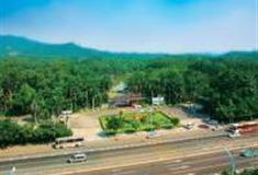 广州华南植物园姜园怎么玩？附游玩路线