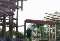 成都桤木河湿地公园怎么玩？附游玩路线