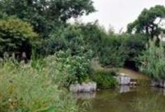 上海亩中山水园怎么玩？附游玩路线