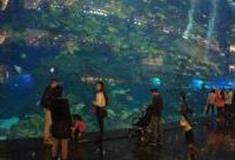 佛山南宏海立方海洋公园怎么玩？附游玩路线