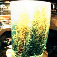 广州海洋馆17782