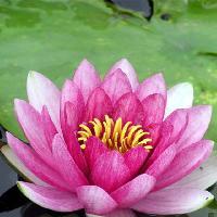 黄果树瀑布景区10242